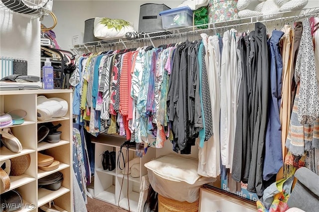 spacious closet featuring carpet