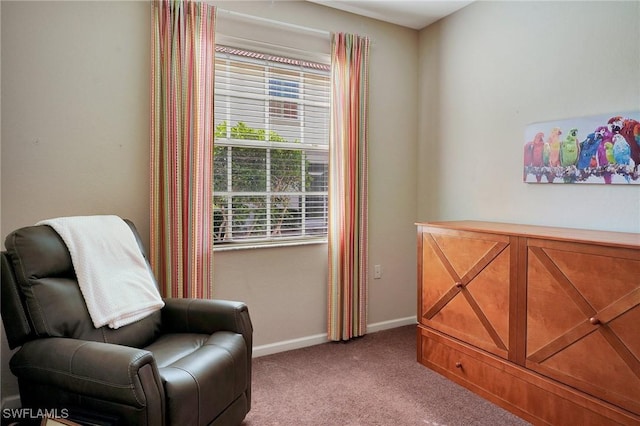 living area with light colored carpet