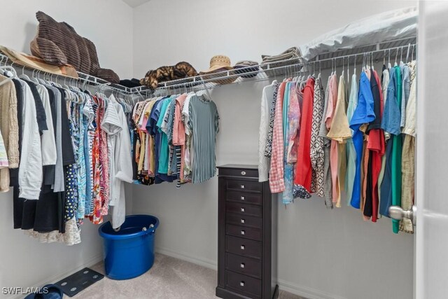 spacious closet with carpet