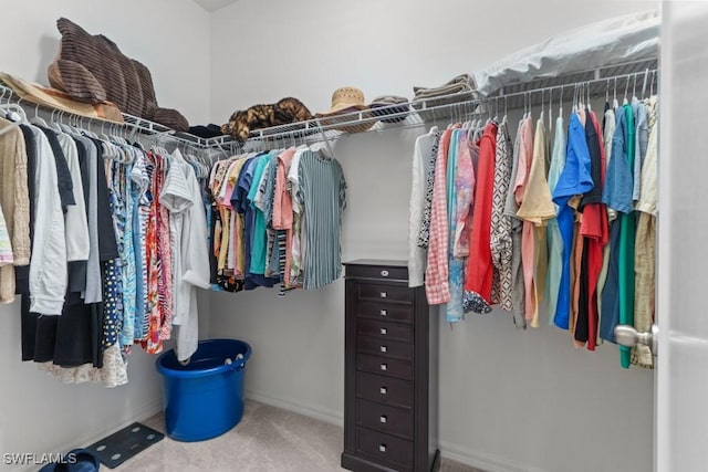 walk in closet with carpet