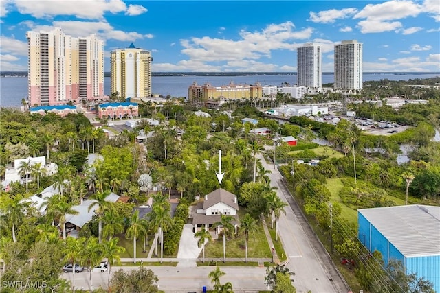 aerial view with a water view