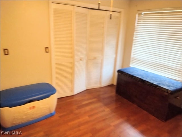 bedroom with a closet and dark hardwood / wood-style floors