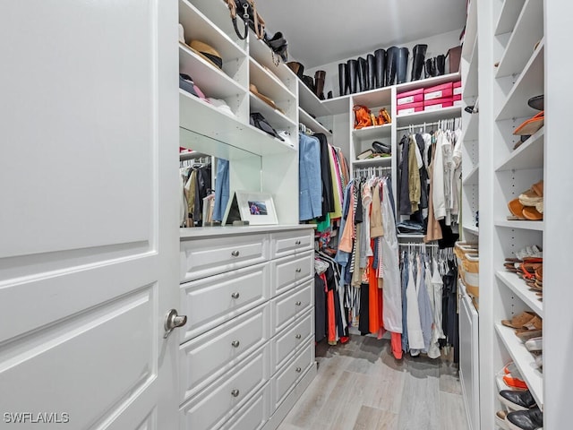 spacious closet with light hardwood / wood-style flooring