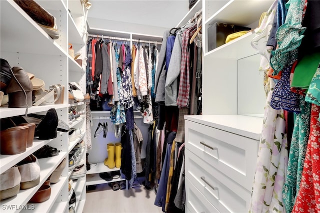 view of spacious closet