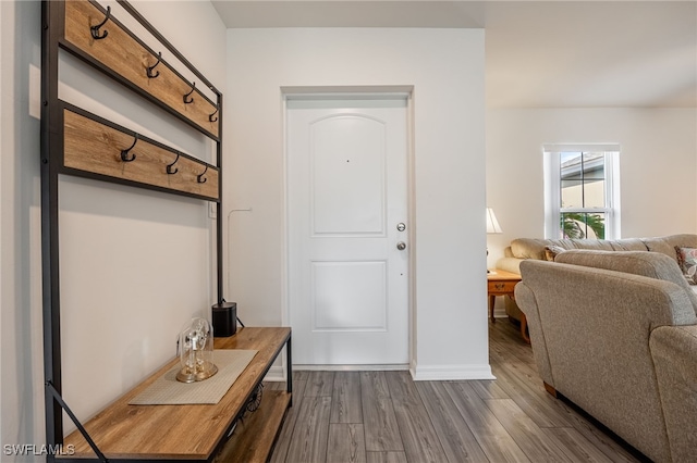 foyer entrance with dark wood-type flooring