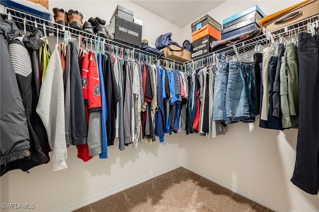 spacious closet with carpet flooring