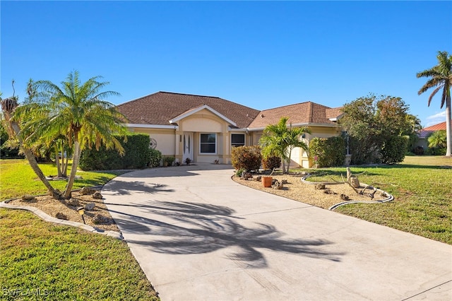 ranch-style house with a front yard