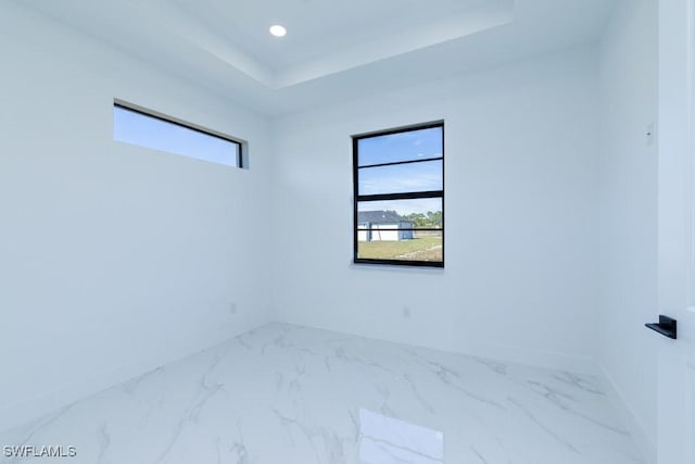 spare room with plenty of natural light and a tray ceiling