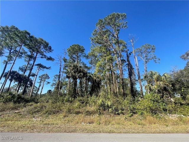 1209 Pine Ave, Lehigh Acres FL, 33972 land for sale