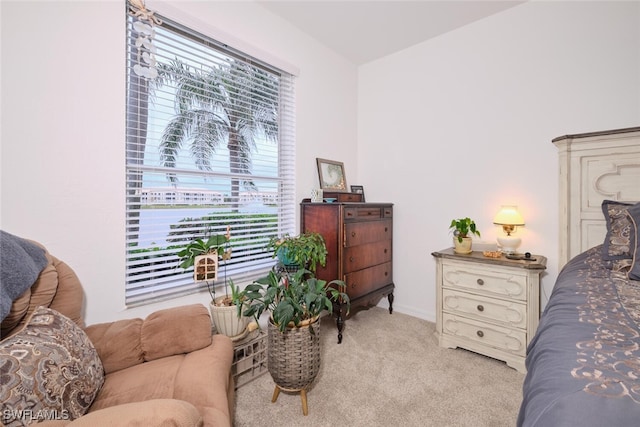 carpeted bedroom featuring multiple windows