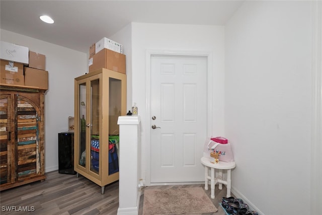 foyer featuring dark hardwood / wood-style floors