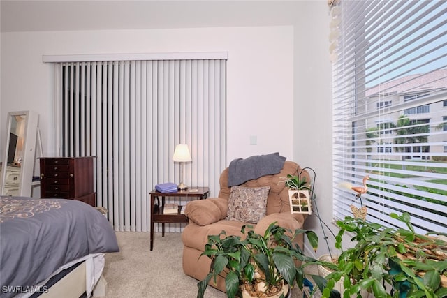 bedroom featuring light colored carpet