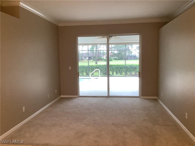 carpeted spare room with ceiling fan and ornamental molding