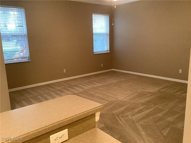 empty room featuring carpet flooring