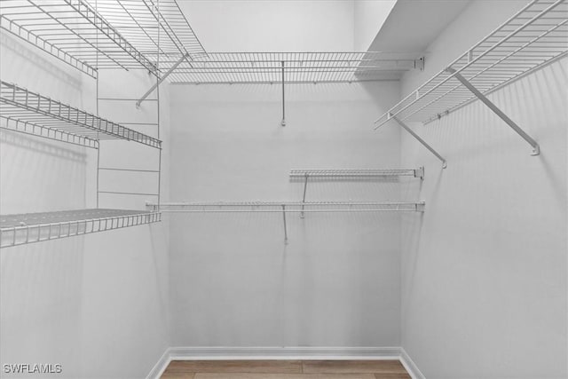 spacious closet with wood-type flooring