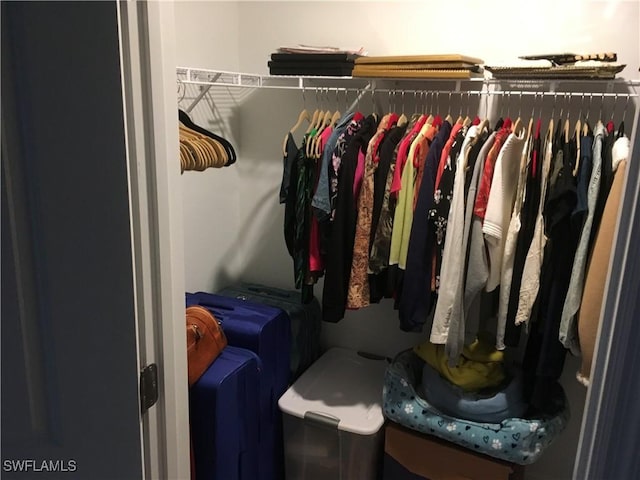 view of spacious closet