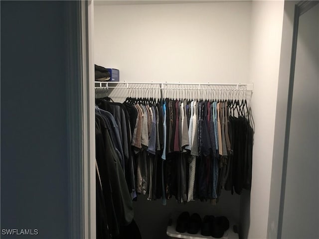 view of spacious closet