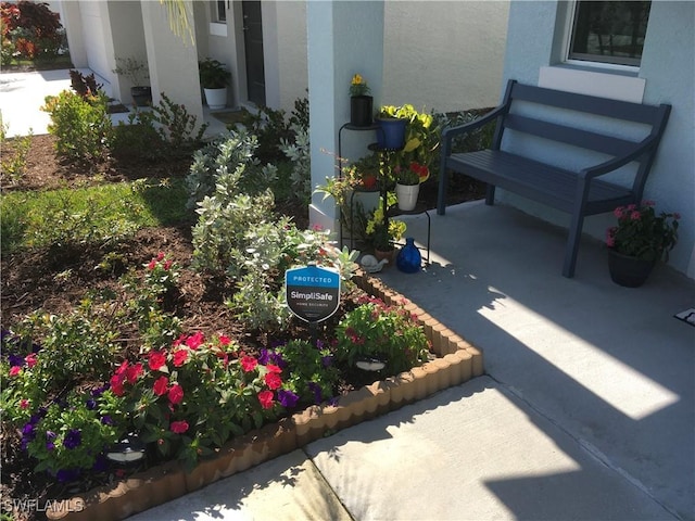 view of yard featuring a patio area