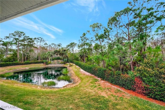 view of yard with a water view