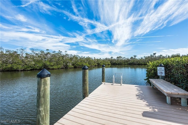 dock area featuring a water view