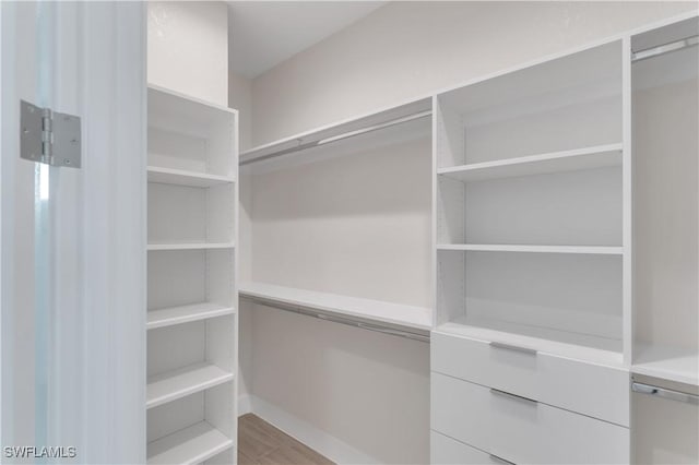 spacious closet with wood-type flooring