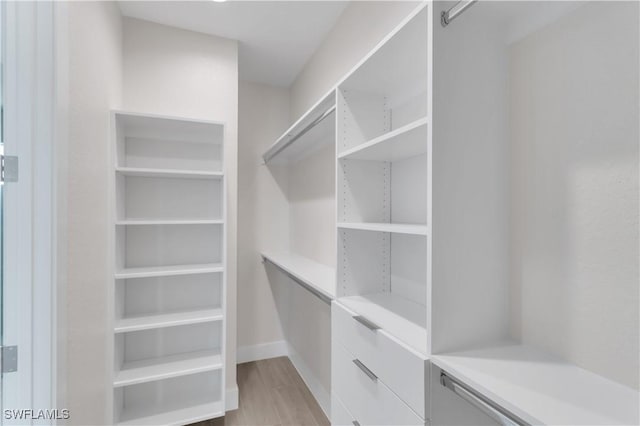 spacious closet with light wood-type flooring