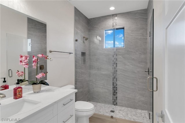 bathroom with vanity, toilet, and a shower with shower door