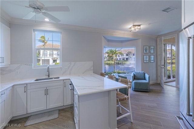 kitchen featuring decorative backsplash, light stone countertops, ornamental molding, sink, and white cabinets