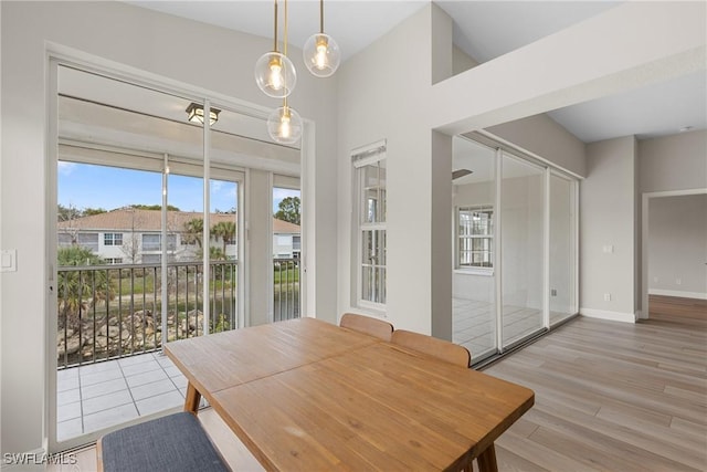 dining room featuring light hardwood / wood-style flooring