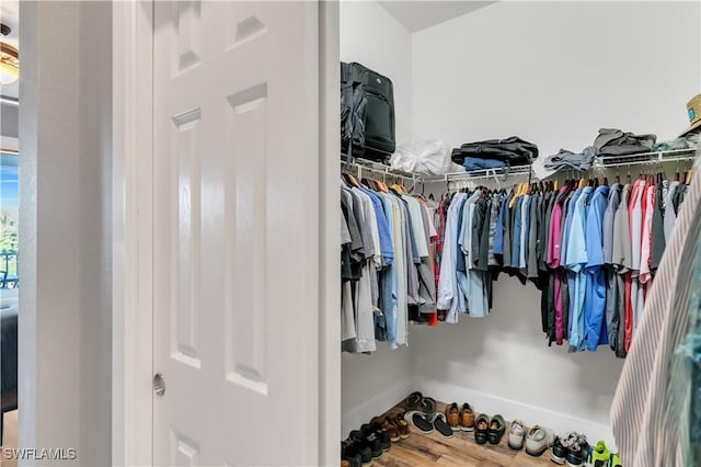 view of walk in closet