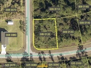 925 Anthony St E, Lehigh Acres FL, 33974 land for sale