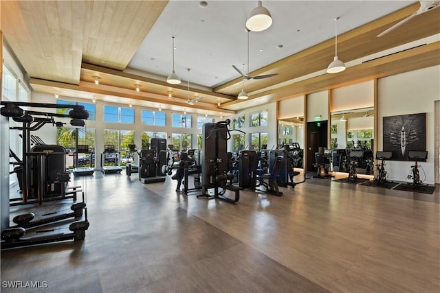 workout area featuring a wealth of natural light, a towering ceiling, a raised ceiling, and ceiling fan