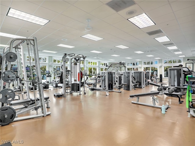 workout area with a drop ceiling, plenty of natural light, and expansive windows