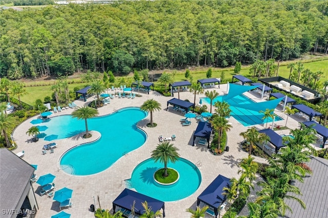 view of swimming pool with a patio area