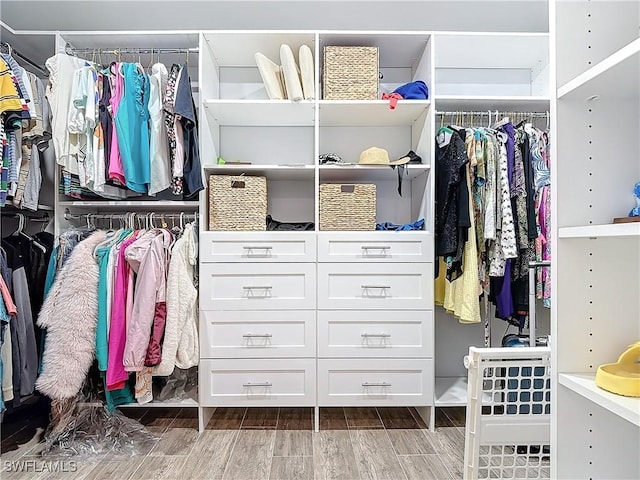 view of spacious closet