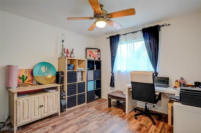 office with ceiling fan and light hardwood / wood-style flooring