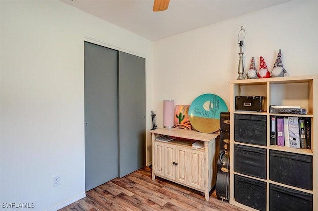 interior space featuring hardwood / wood-style flooring, ceiling fan, and a closet