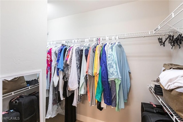 view of spacious closet