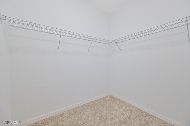 spacious closet with carpet