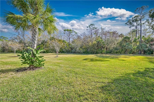 15133 Ligustrum Ln, Alva, FL 33920 - view of grassy yard