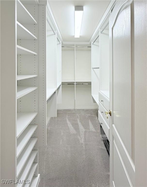 walk in closet featuring carpet