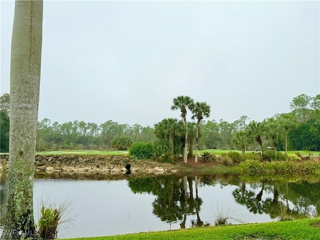 view of water feature