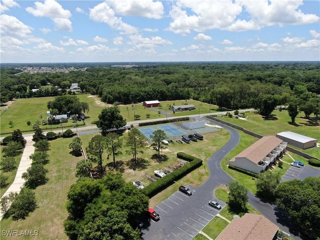 bird's eye view