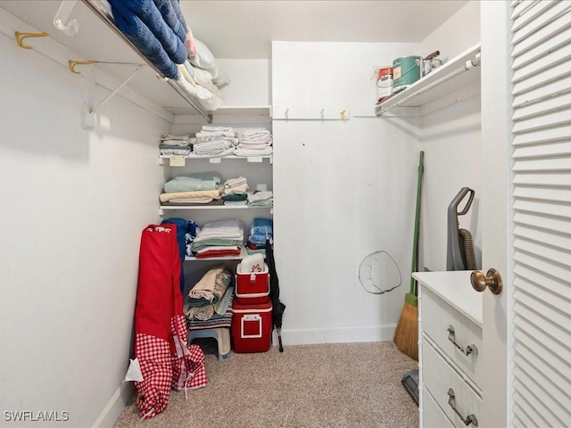 walk in closet featuring light colored carpet