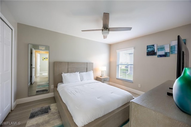 bedroom featuring ceiling fan, a closet, and light hardwood / wood-style flooring