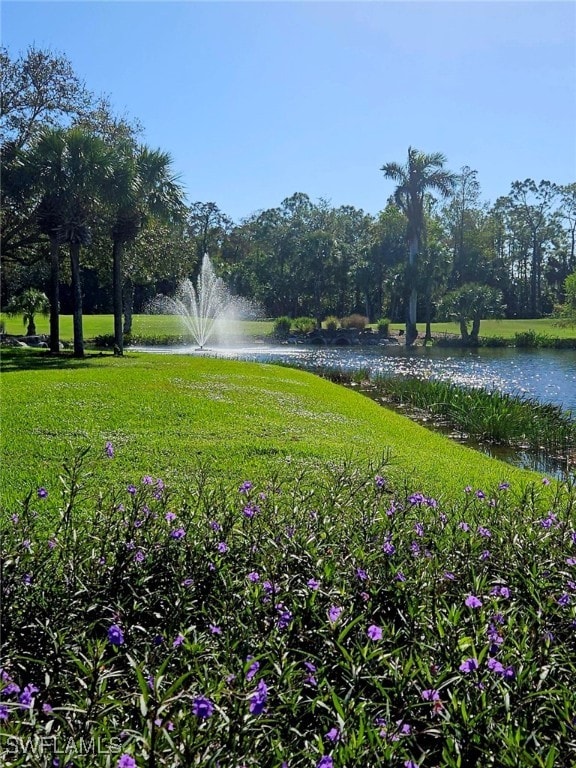 surrounding community with a water view and a lawn