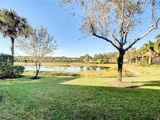 view of yard with a water view