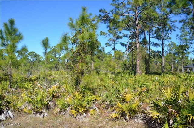 1602 W 14th St, Lehigh Acres, FL 33972