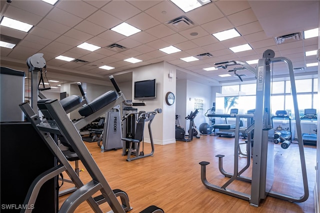 workout area with a paneled ceiling and hardwood / wood-style flooring