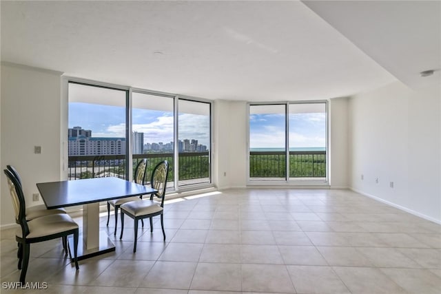 unfurnished dining area with expansive windows